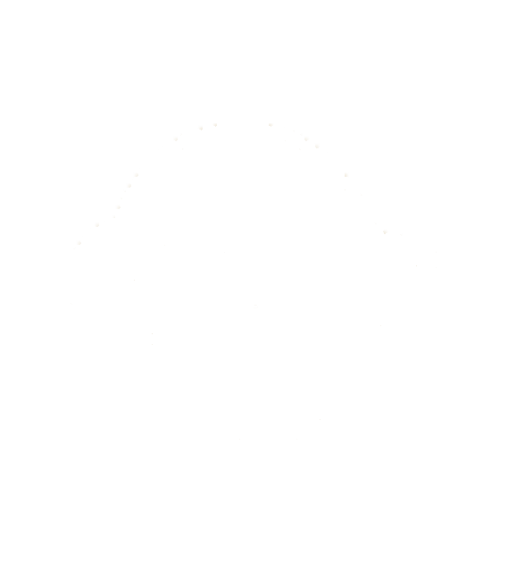 Fjernsupport